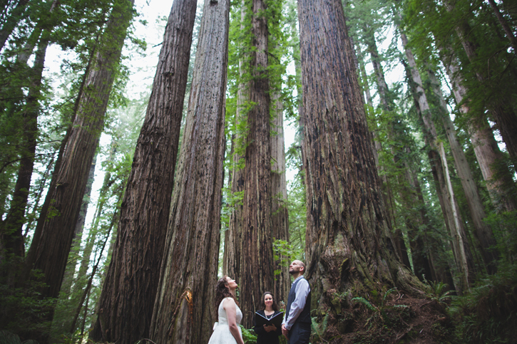 Anne+Scott - Redwoods Elopement - Humboldt Wedding - Destination wedding photographer - the rasers 04