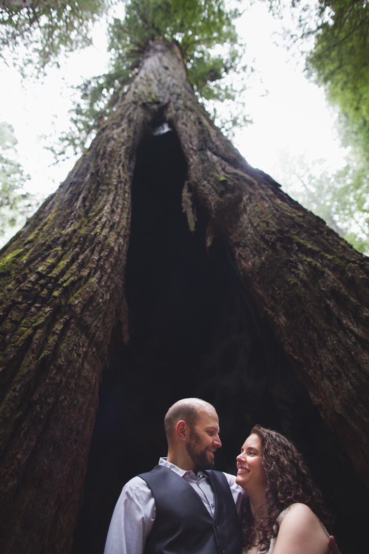 Anne+Scott - Redwoods Elopement - Humboldt Wedding - Destination wedding photographer - the rasers 14