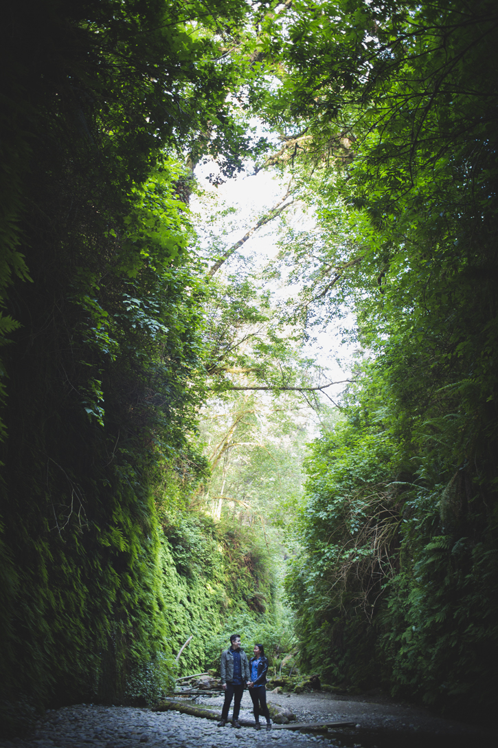 Erica+Chris - Fern Canyon Engagement - The Rasers 01