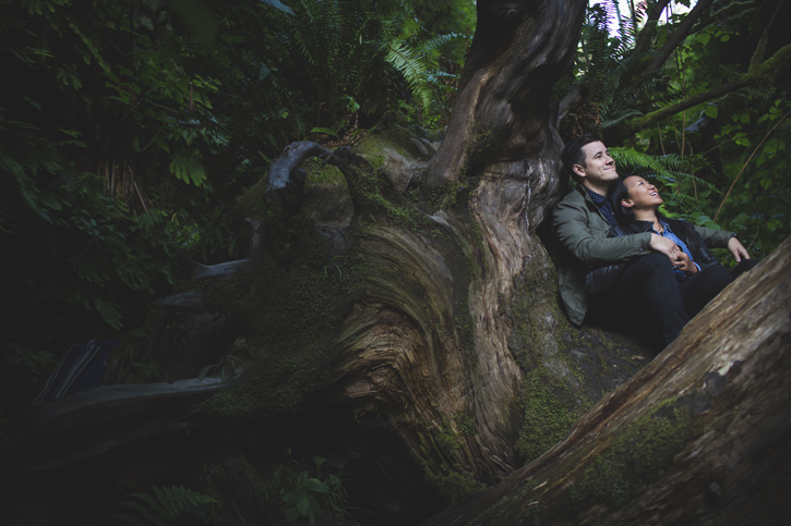 Erica+Chris - Fern Canyon Engagement - The Rasers 05