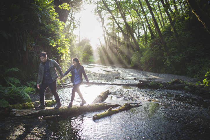 Erica+Chris - Fern Canyon Engagement - The Rasers 18